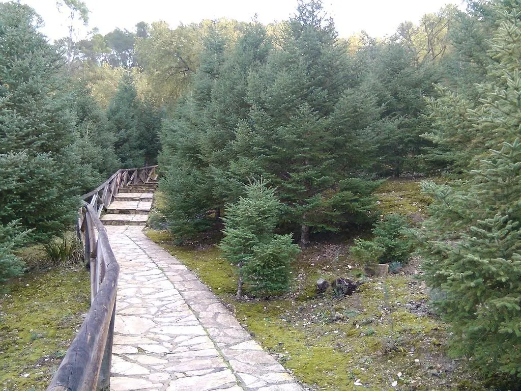 Hostal Casa Paco El Bosque